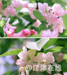 图片19.png