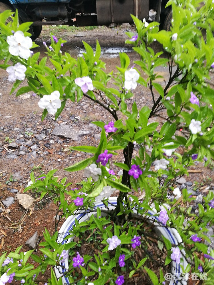 凉风村 (25)副本.jpg