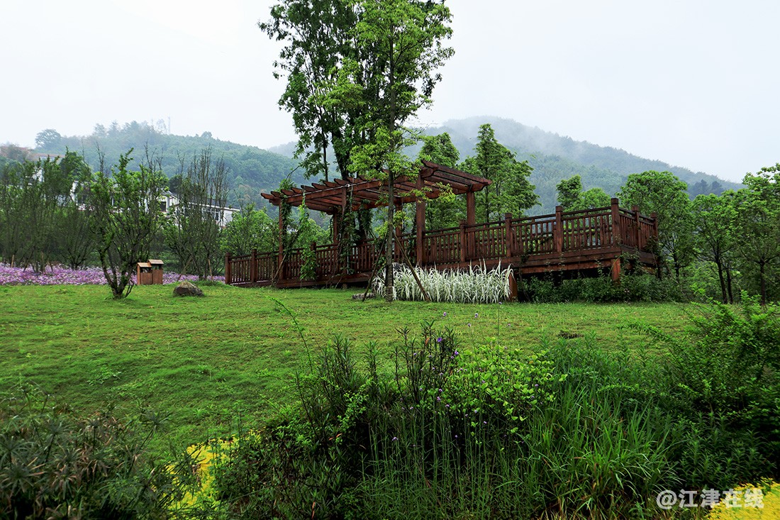 鱼子村 (11).jpg