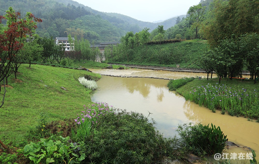 鱼子村 (20).jpg