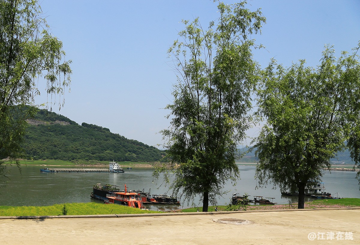 河边草 (12).jpg