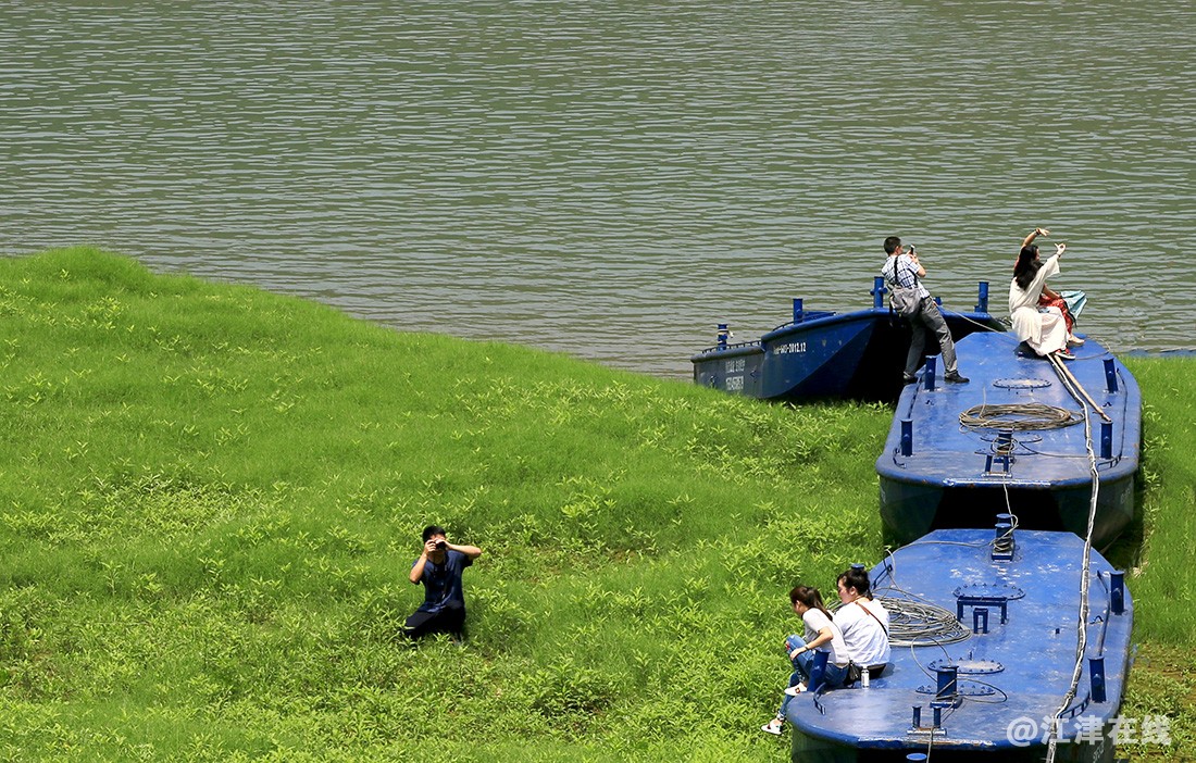 河边草 (16).jpg