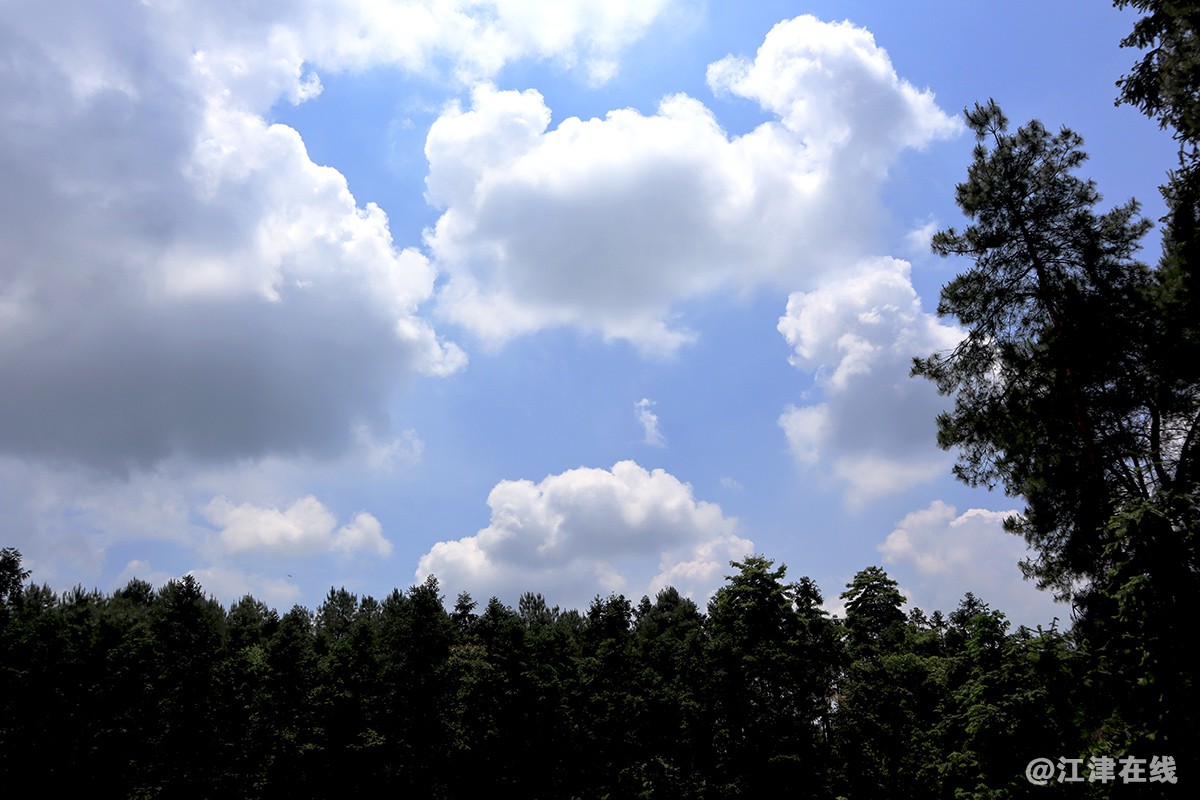 龙井山庄 (1).jpg