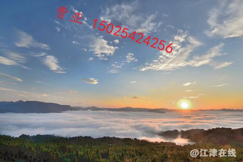 微信图片_20180126164050.jpg