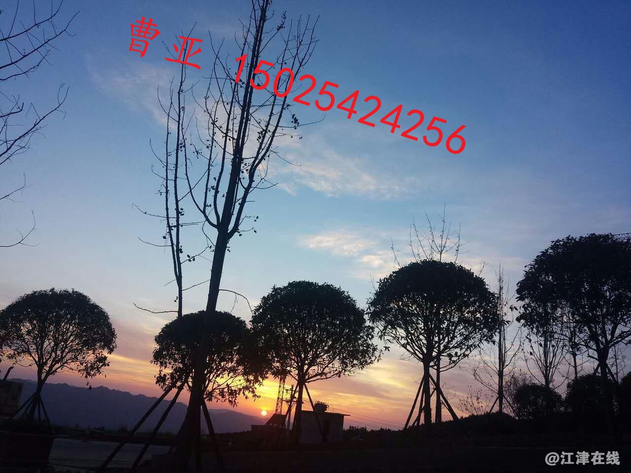 微信图片_20180126165204.jpg