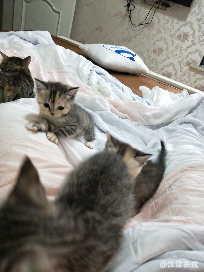 IMG20180602094744.jpg