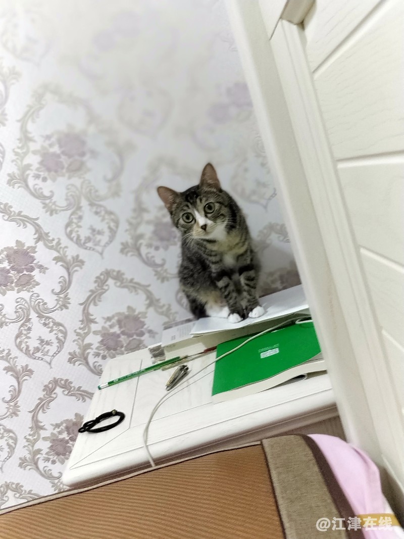 IMG20180526091540.jpg