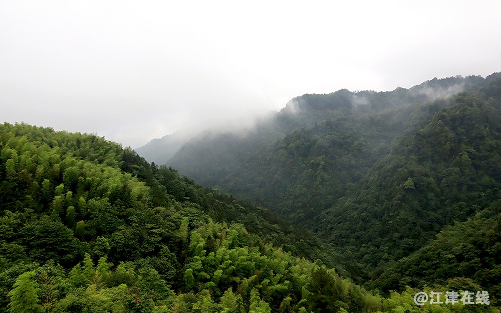 雾雨 (1).jpg