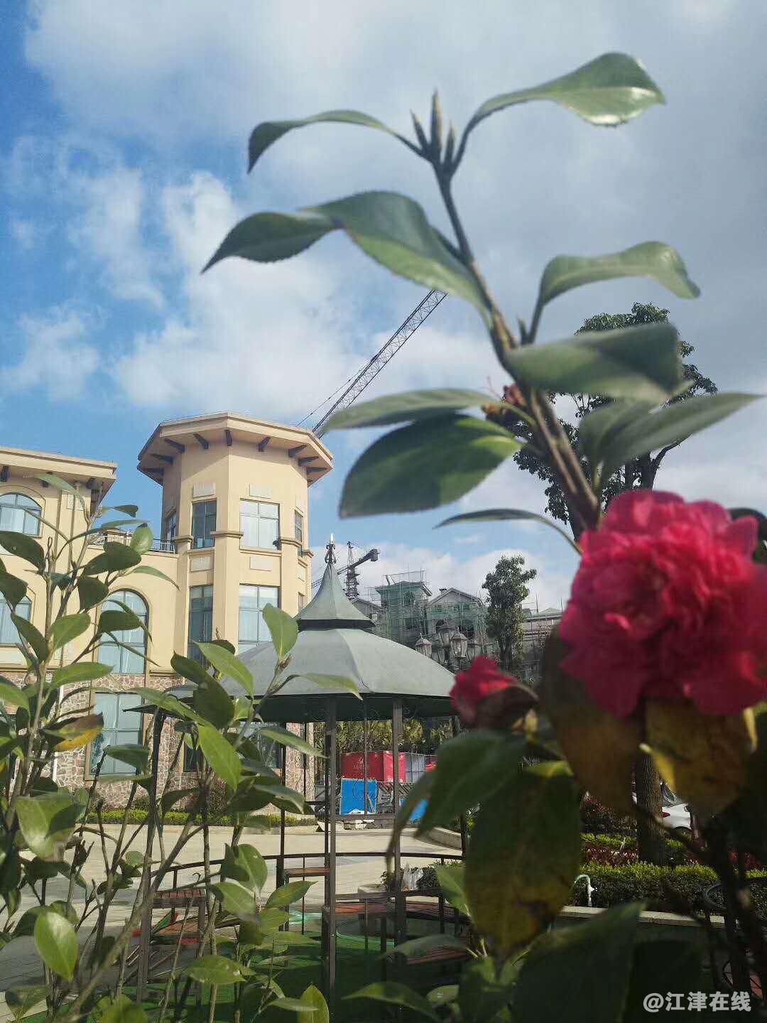 微信图片_20180413103947.jpg