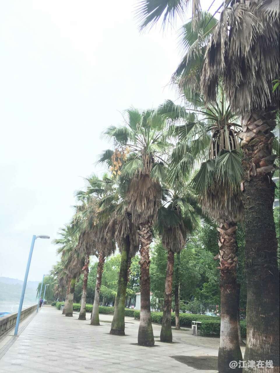 20180619_286125_1529382222574.jpg