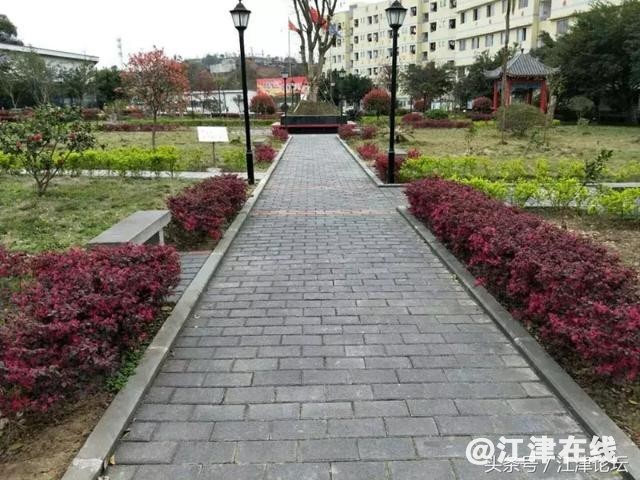 1529401048896fa2e8ee778.jpg