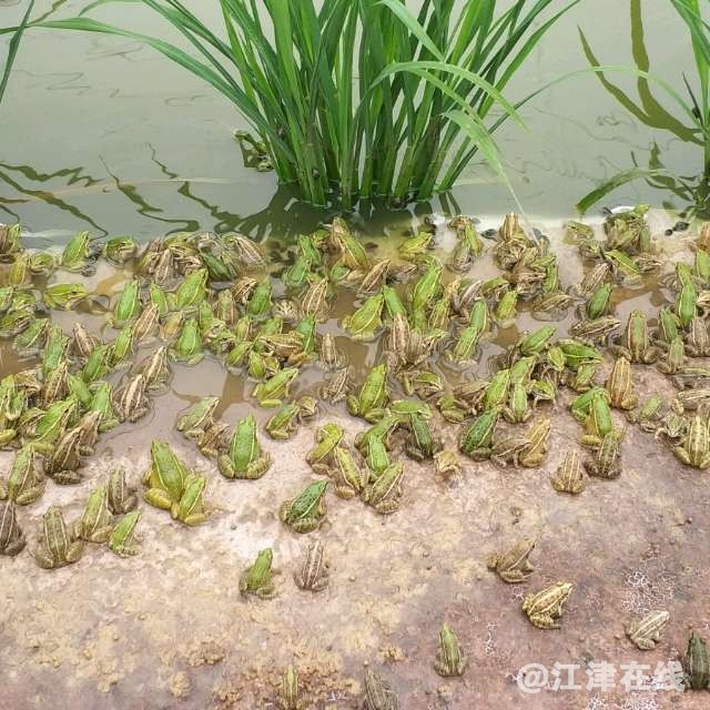 20180624_280594_1529809993570.jpg
