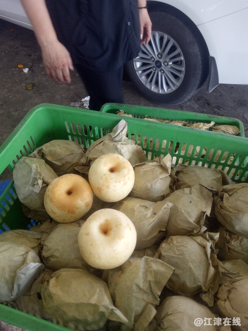 IMG20180624141727.jpg