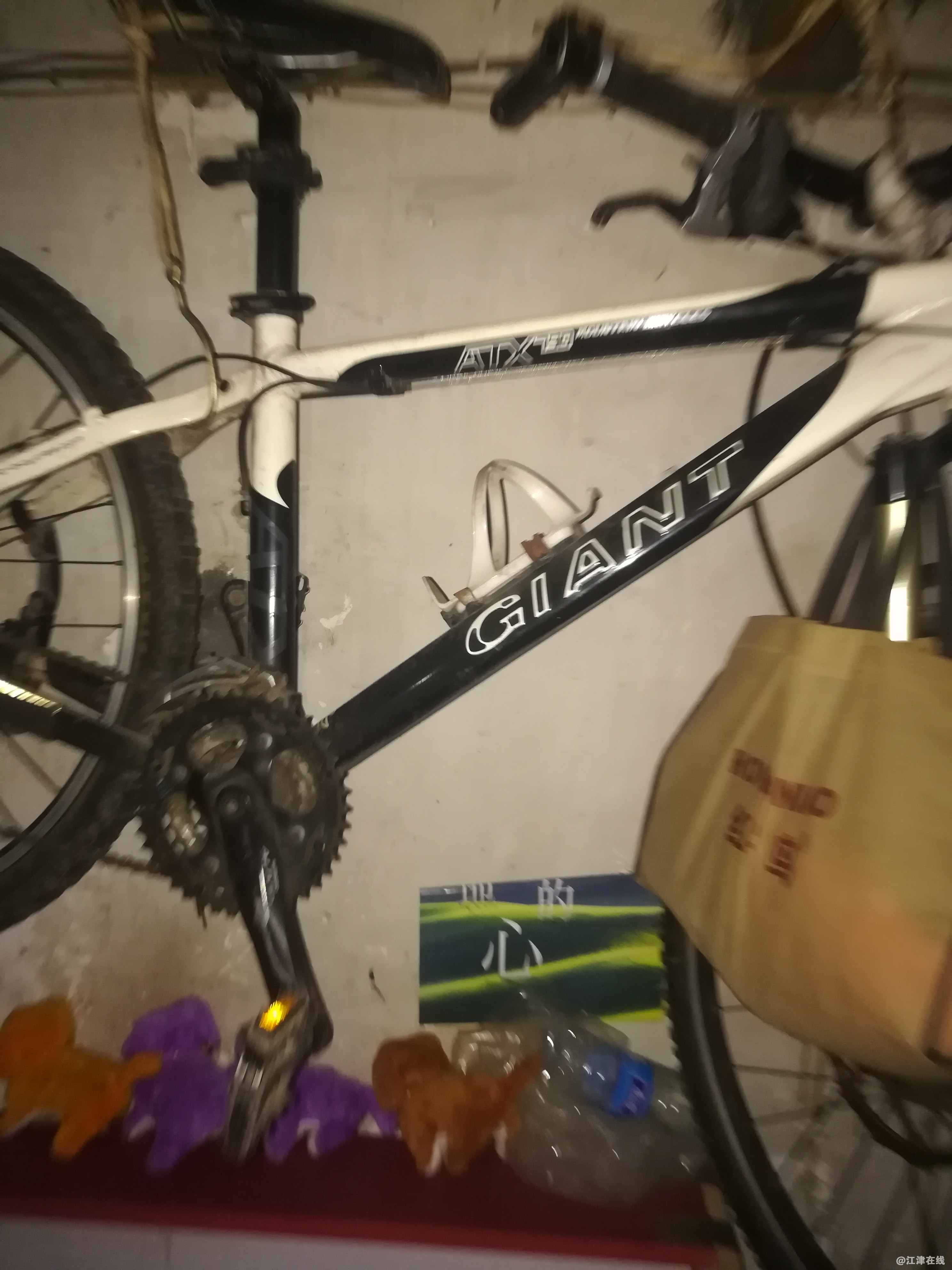 QQ图片20180709092822.jpg