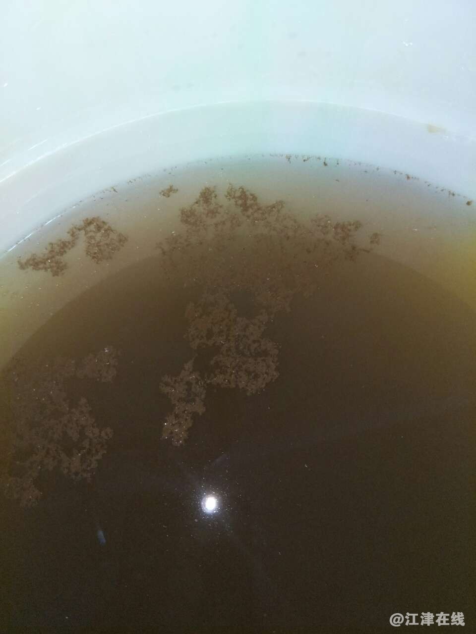 20180713_289298_1531486791726.jpg