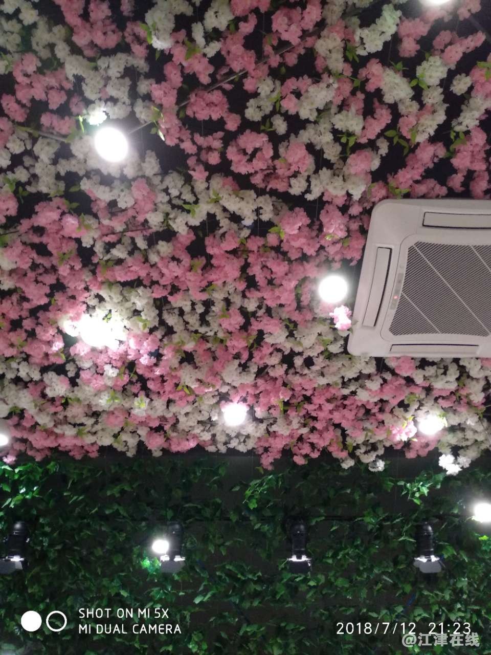 20180715_65865_1531642647257.jpg