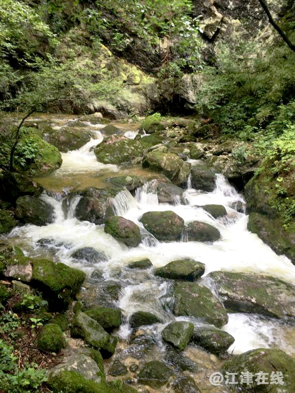 陕川途中 (13).jpg