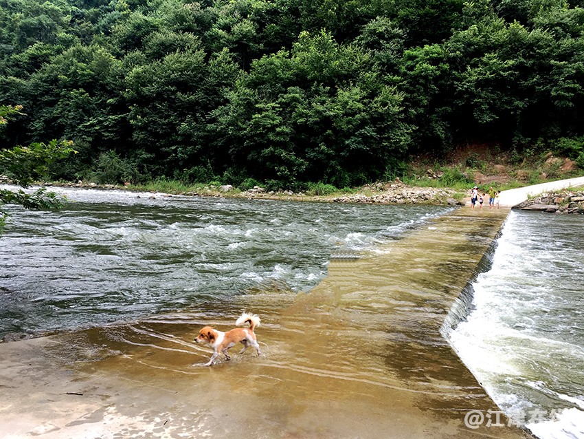 陕川途中 (18).jpg