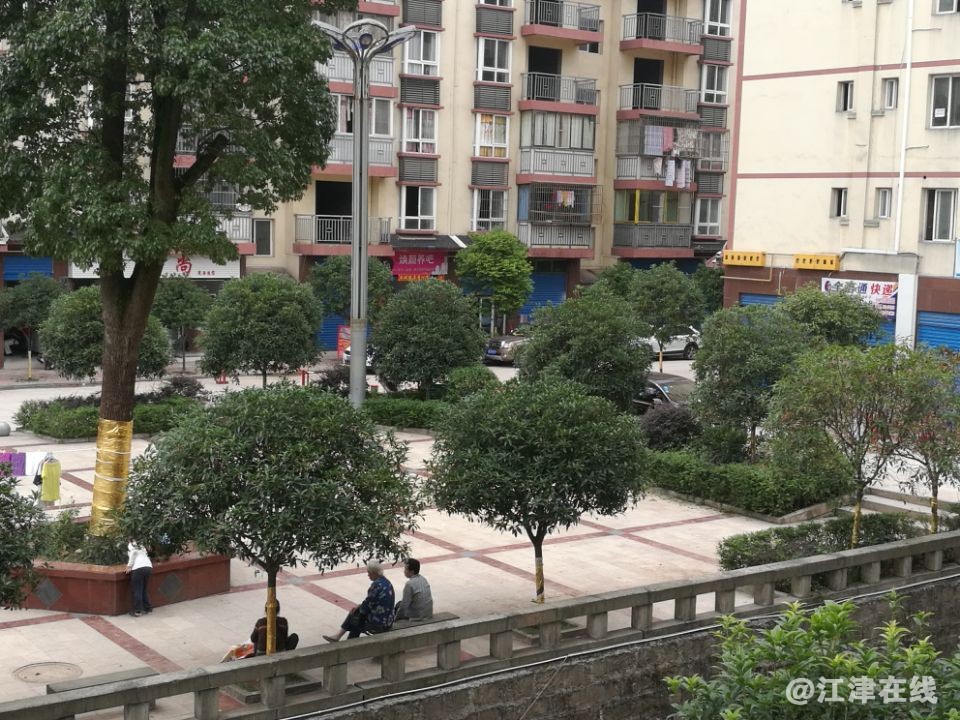 QQ图片20180730123309.jpg