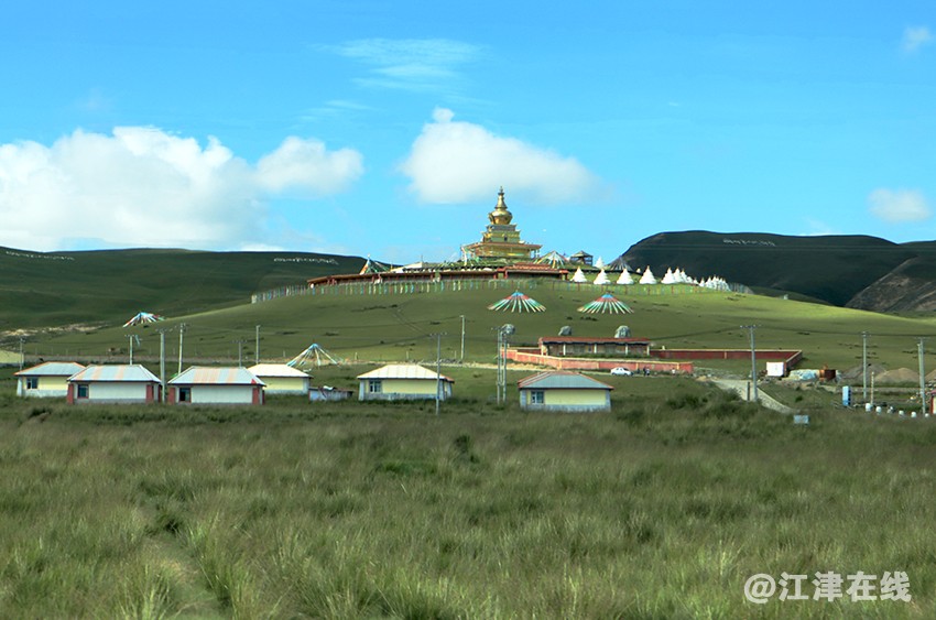 青海湖 (12).jpg