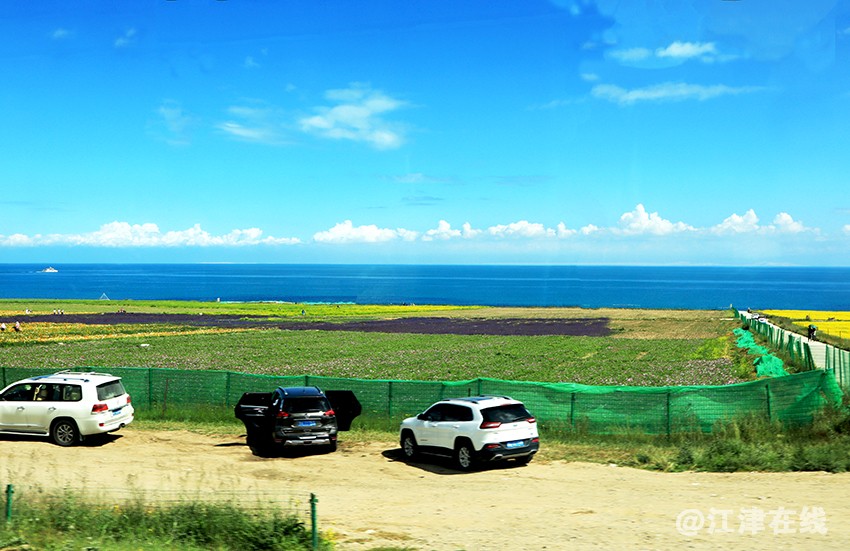 青海湖 (15).jpg