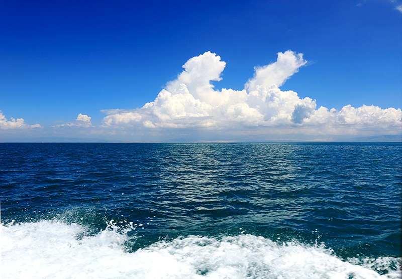 青海湖 (28).jpg