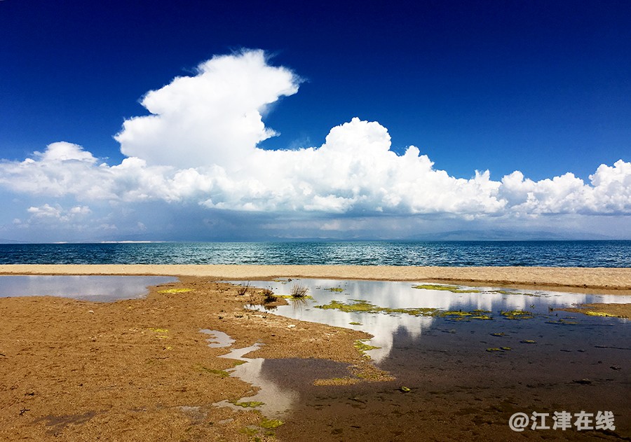 青海湖 (38).jpg