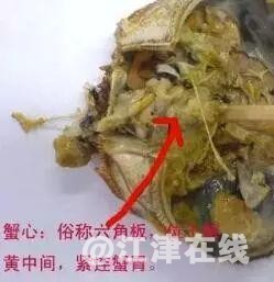 15375998240929307a98fda.jpg