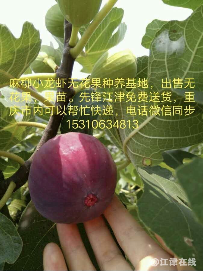 QQ图片20180928175936.jpg