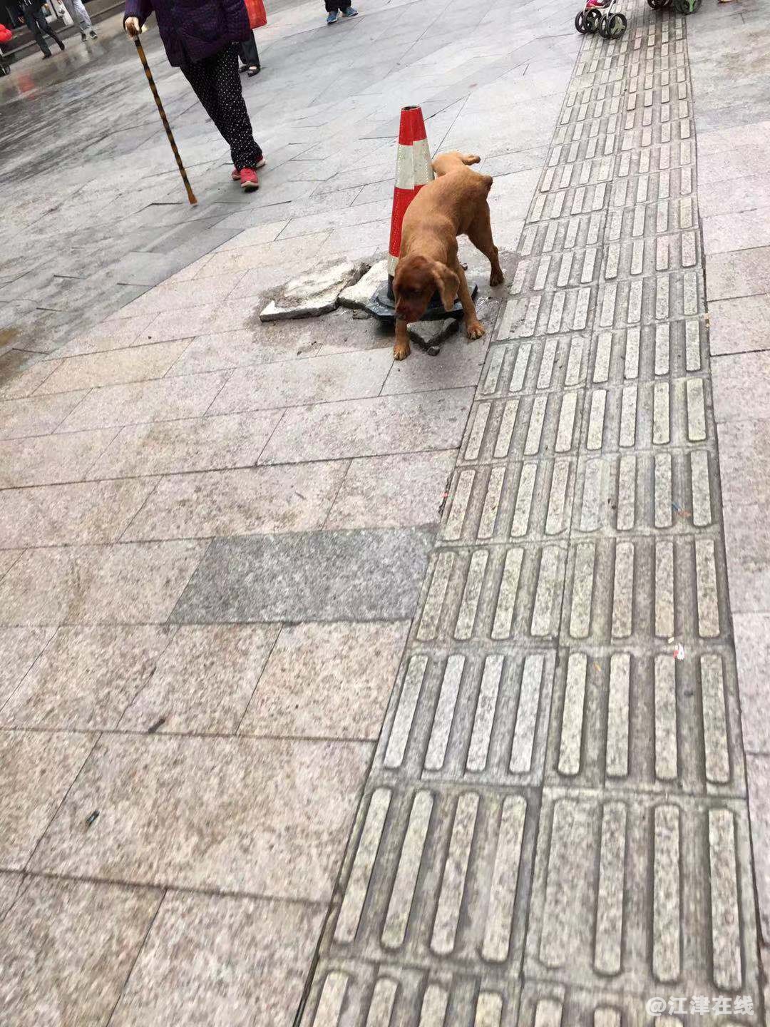 步行街6.jpg