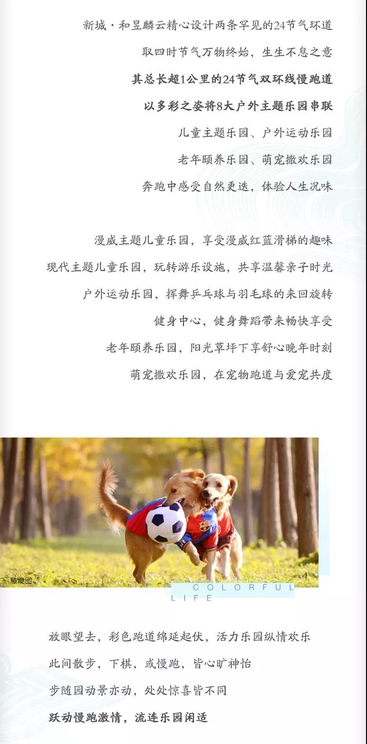 微信图片_20181113175817.jpg