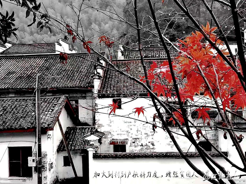 婺源 (4).jpg