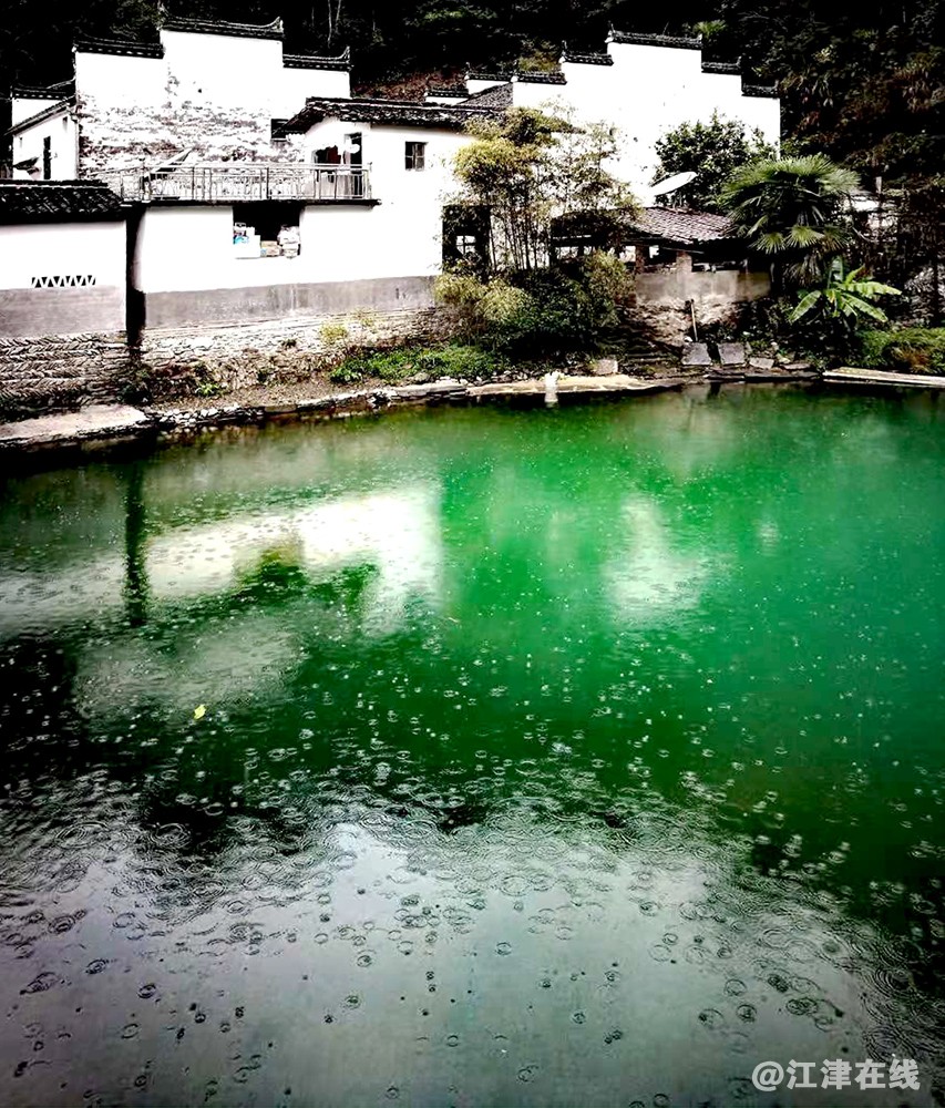 婺源 (5).jpg