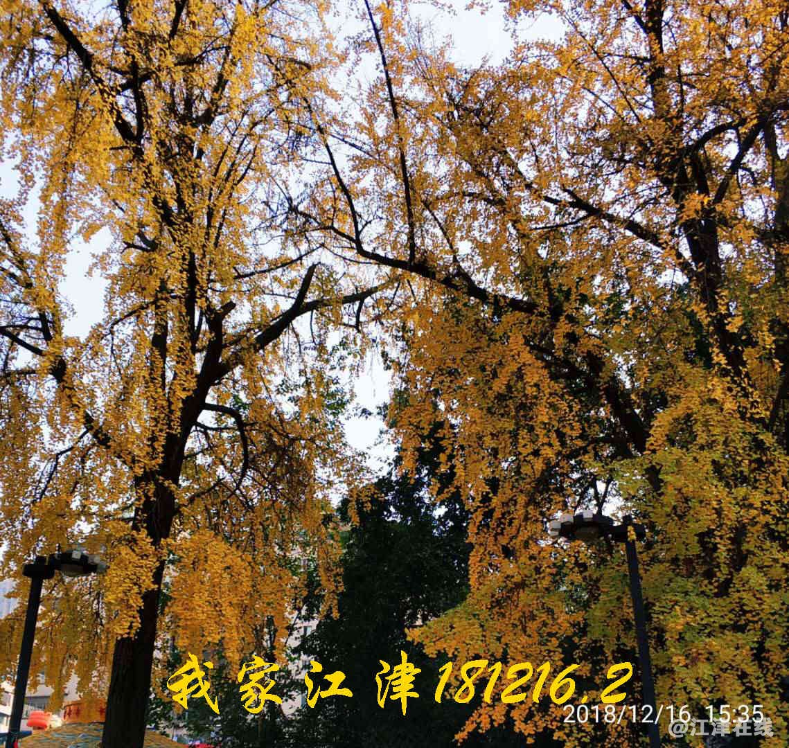 JYZ 201812167 WXBN (23).jpg