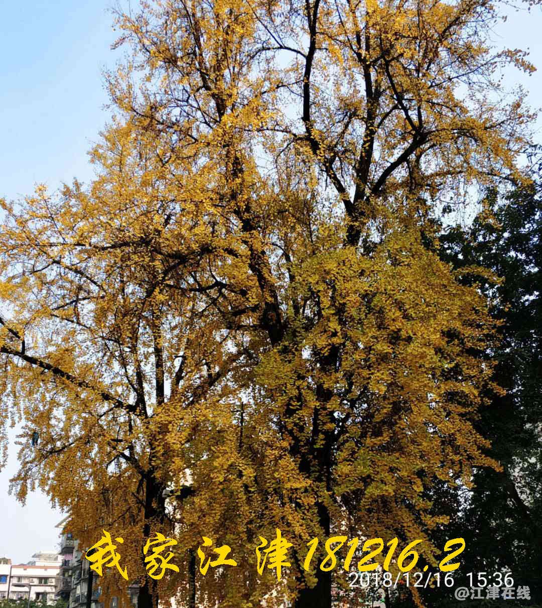 JYZ 201812167 WXBN (25).jpg