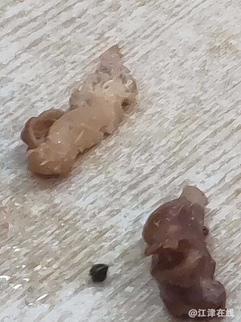 IMG20181223194105.jpg