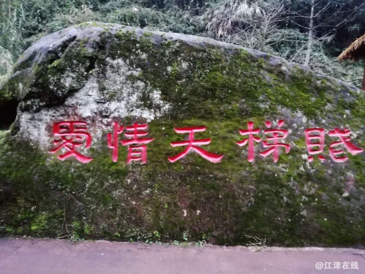 20181231_294165_1546236914298.jpg