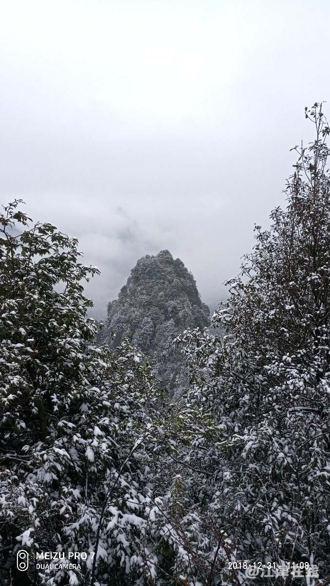 P81231-110846.jpg