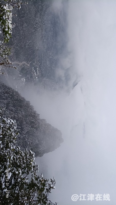 P81231-105928.jpg