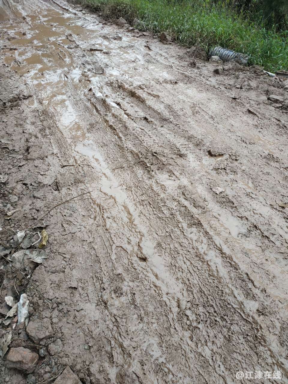 20190101_326556_1546337332231.jpg
