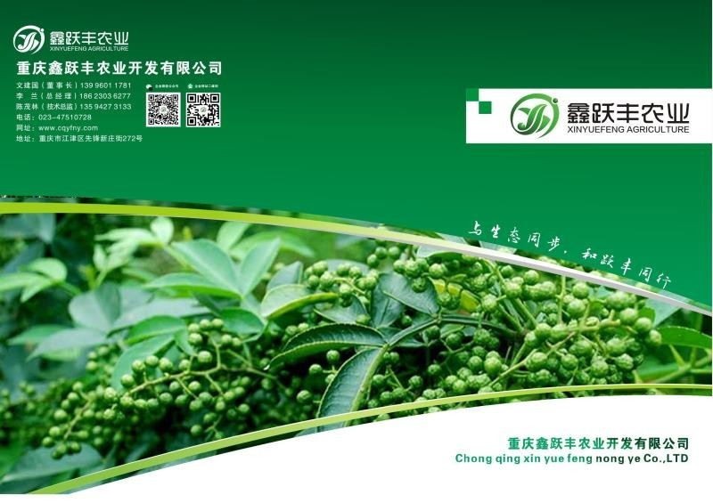 221947wjx1wwxe7w9vxf11_看图王.jpg