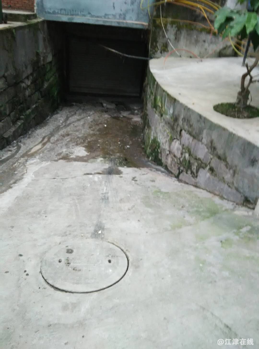 微信图片_20190121181436.jpg