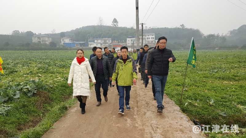 QQ图片20190115192623_看图王.jpg
