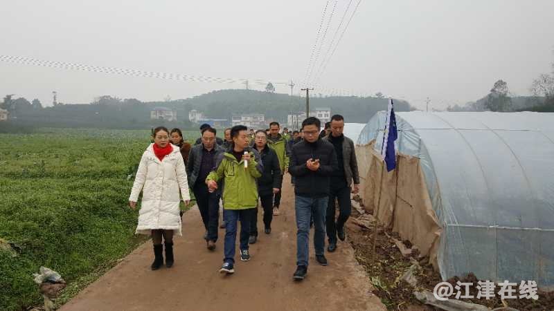 QQ图片20190115192704_看图王.jpg