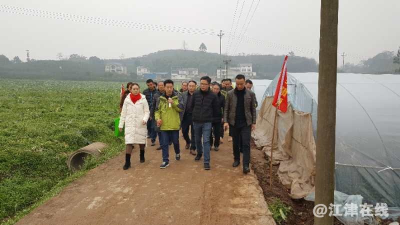 QQ图片20190115192724_看图王.jpg