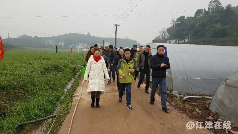 QQ图片20190115192711_看图王.jpg