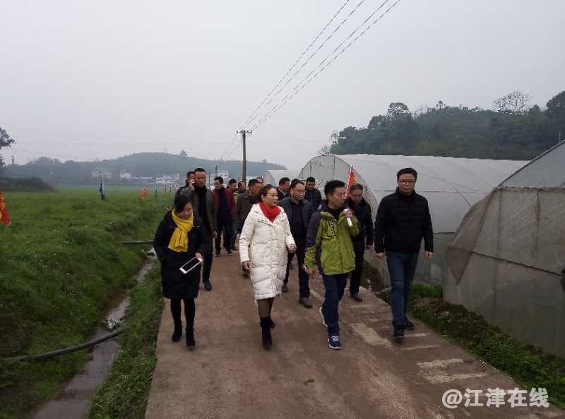 QQ图片20190115193145_看图王.jpg