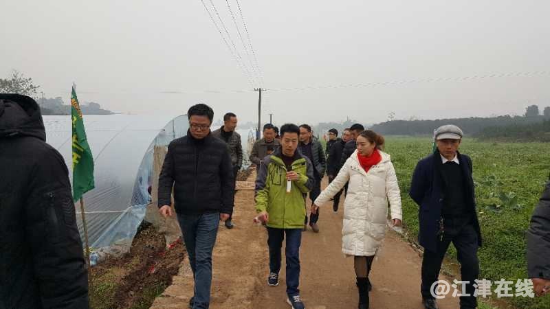 QQ图片20190115192801_看图王.jpg