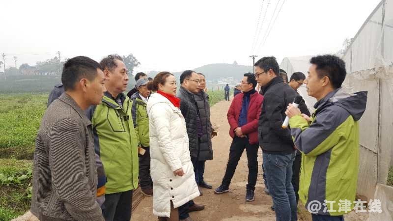 QQ图片20190115192746_看图王.jpg