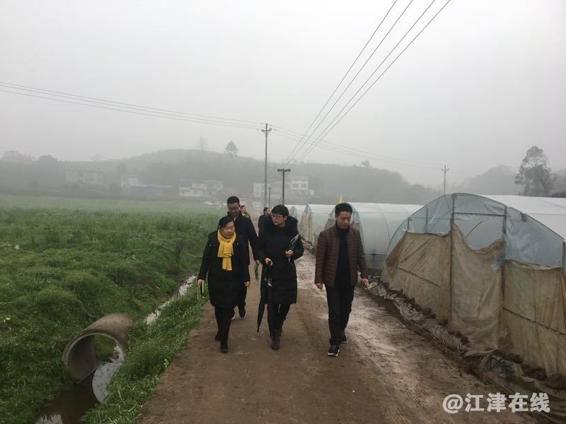 QQ图片20190202142555_看图王.jpg